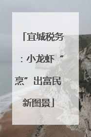 宜城税务：小龙虾“烹”出富民新图景