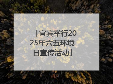 宜宾举行2025年六五环境日宣传活动