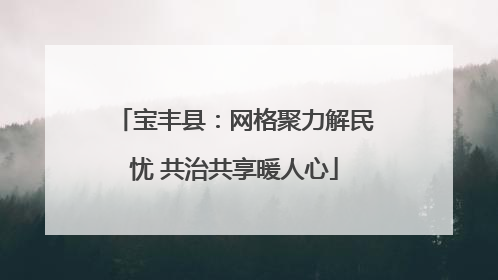 宝丰县：网格聚力解民忧 共治共享暖人心