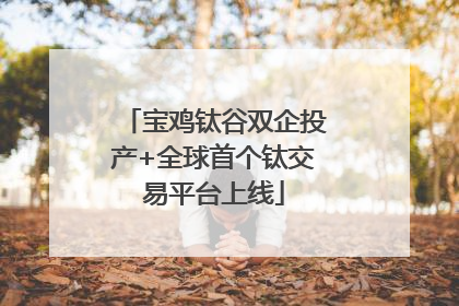 宝鸡钛谷双企投产+全球首个钛交易平台上线