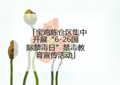 宝鸡陈仓区集中开展“6･26国际禁毒日”禁毒教育宣传活动