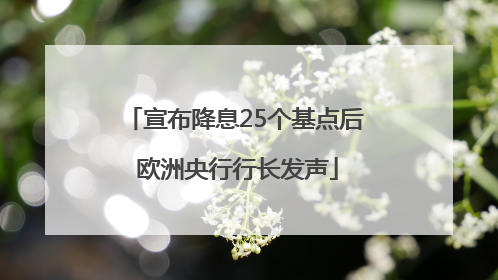 宣布降息25个基点后 欧洲央行行长发声