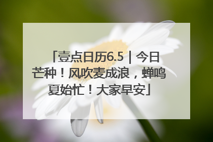 壹点日历6.5｜今日芒种！风吹麦成浪，蝉鸣夏始忙！大家早安