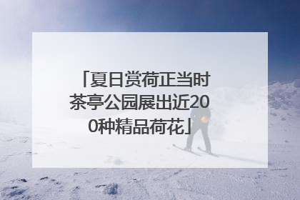 夏日赏荷正当时 茶亭公园展出近200种精品荷花