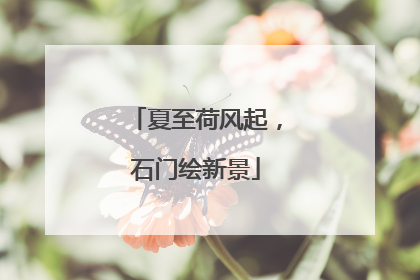 夏至荷风起，石门绘新景