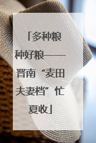 多种粮 种好粮——晋南“麦田夫妻档”忙夏收