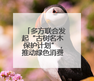 多方联合发起“古树名木保护计划”，推动绿色消费成为潮流丨新经济观察