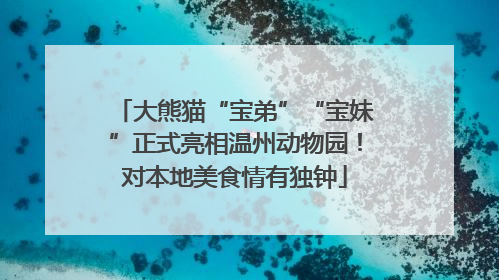 大熊猫“宝弟”“宝妹”正式亮相温州动物园！对本地美食情有独钟