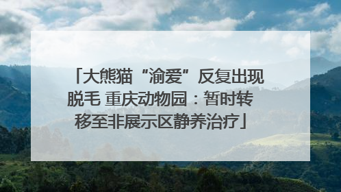 大熊猫“渝爱”反复出现脱毛 重庆动物园：暂时转移至非展示区静养治疗