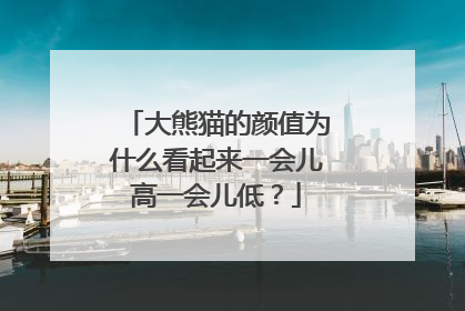 大熊猫的颜值为什么看起来一会儿高一会儿低？