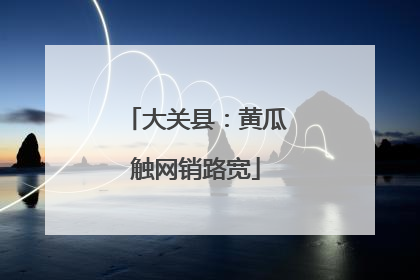 大关县：黄瓜触网销路宽