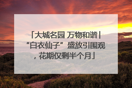 大城名园 万物和谐│“白衣仙子”盛放引围观，花期仅剩半个月