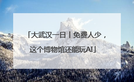 大武汉一日丨免费人少，这个博物馆还能玩AI