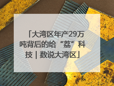 大湾区年产29万吨背后的给“荔”科技｜数说大湾区