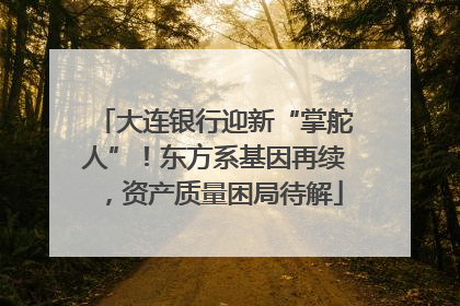 大连银行迎新“掌舵人”！东方系基因再续，资产质量困局待解