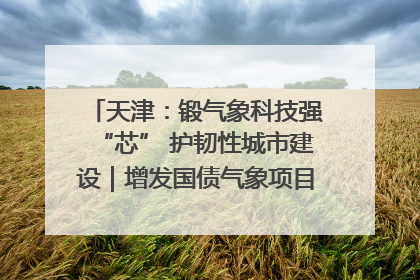天津：锻气象科技强“芯” 护韧性城市建设｜增发国债气象项目落地见效系列报道