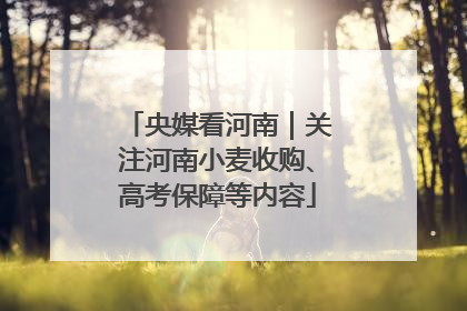 央媒看河南｜关注河南小麦收购、高考保障等内容