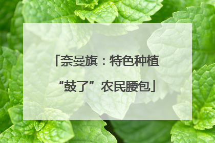 奈曼旗：特色种植“鼓了”农民腰包