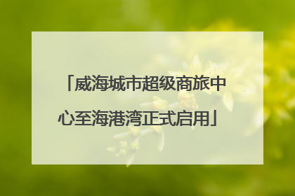 威海城市超级商旅中心至海港湾正式启用