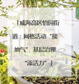 威海高区怡园街道：网格活动“接地气” 基层治理“添活力”