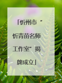 忻州市“忻青苗名师工作室”揭牌成立