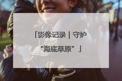 影像记录｜守护“海底草原”