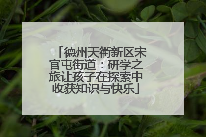 德州天衢新区宋官屯街道：研学之旅让孩子在探索中收获知识与快乐