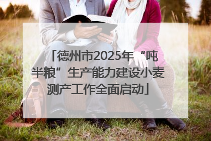 德州市2025年“吨半粮”生产能力建设小麦测产工作全面启动