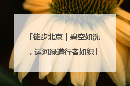 徒步北京｜碧空如洗，运河绿道行者如织
