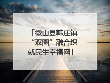 微山县韩庄镇“双圈”融合织就民生幸福网
