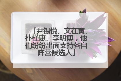 尹锡悦、文在寅、朴槿惠、李明博，他们纷纷出面支持各自阵营候选人