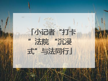 小记者“打卡”法院 “沉浸式”与法同行