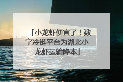 小龙虾便宜了！数字冷链平台为湖北小龙虾运输降本