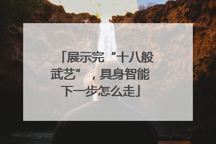 展示完“十八般武艺”，具身智能下一步怎么走