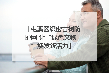 屯溪区织密古树防护网 让“绿色文物”焕发新活力