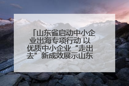山东省启动中小企业出海专项行动 以优质中小企业“走出去”新成效展示山东产业发展新形象
