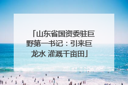 山东省国资委驻巨野第一书记：引来巨龙水 灌溉千亩田