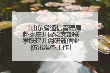 山东省通信管理局赴枣庄开展党支部联学联建并调研通信业防汛准备工作