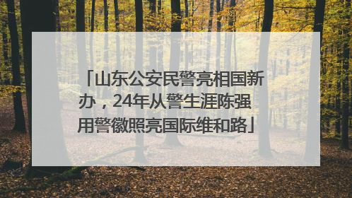 山东公安民警亮相国新办，24年从警生涯陈强用警徽照亮国际维和路