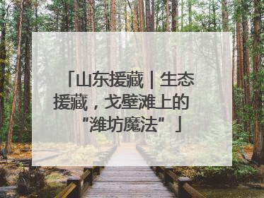 山东援藏｜生态援藏，戈壁滩上的“潍坊魔法”