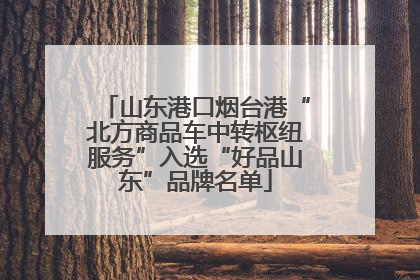 山东港口烟台港“北方商品车中转枢纽服务”入选“好品山东”品牌名单