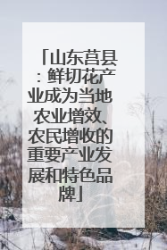 山东莒县：鲜切花产业成为当地农业增效、农民增收的重要产业发展和特色品牌