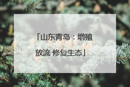 山东青岛：增殖放流 修复生态