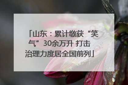 山东：累计缴获“笑气”30余万升 打击治理力度居全国前列