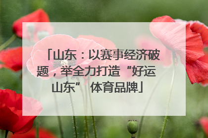山东：以赛事经济破题，举全力打造“好运山东” 体育品牌