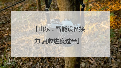 山东：智能设备接力 夏收进度过半