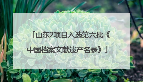 山东2项目入选第六批《中国档案文献遗产名录》