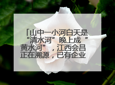 山中一小河白天是“清水河”晚上成“黄水河”，江西会昌正在溯源，已有企业被要求停工