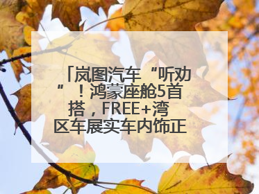 岚图汽车“听劝”！鸿蒙座舱5首搭，FREE+湾区车展实车内饰正式曝光