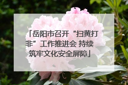 岳阳市召开“扫黄打非”工作推进会 持续筑牢文化安全屏障